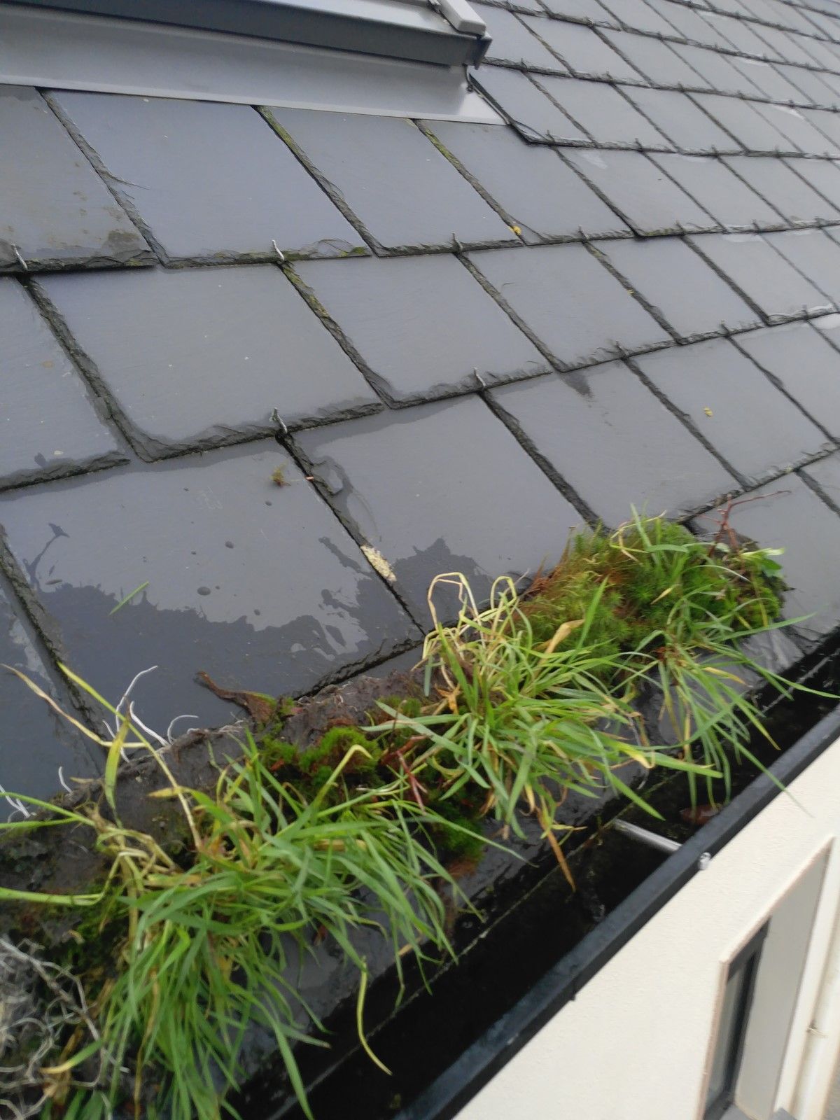 Gutters Cleaning 