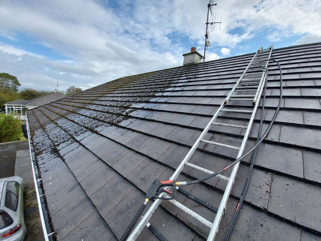 roof cleaning